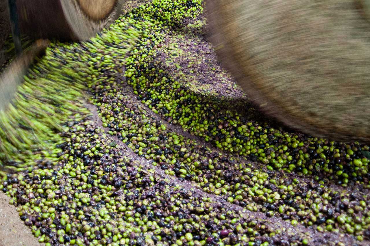 macina delle olive frantoio