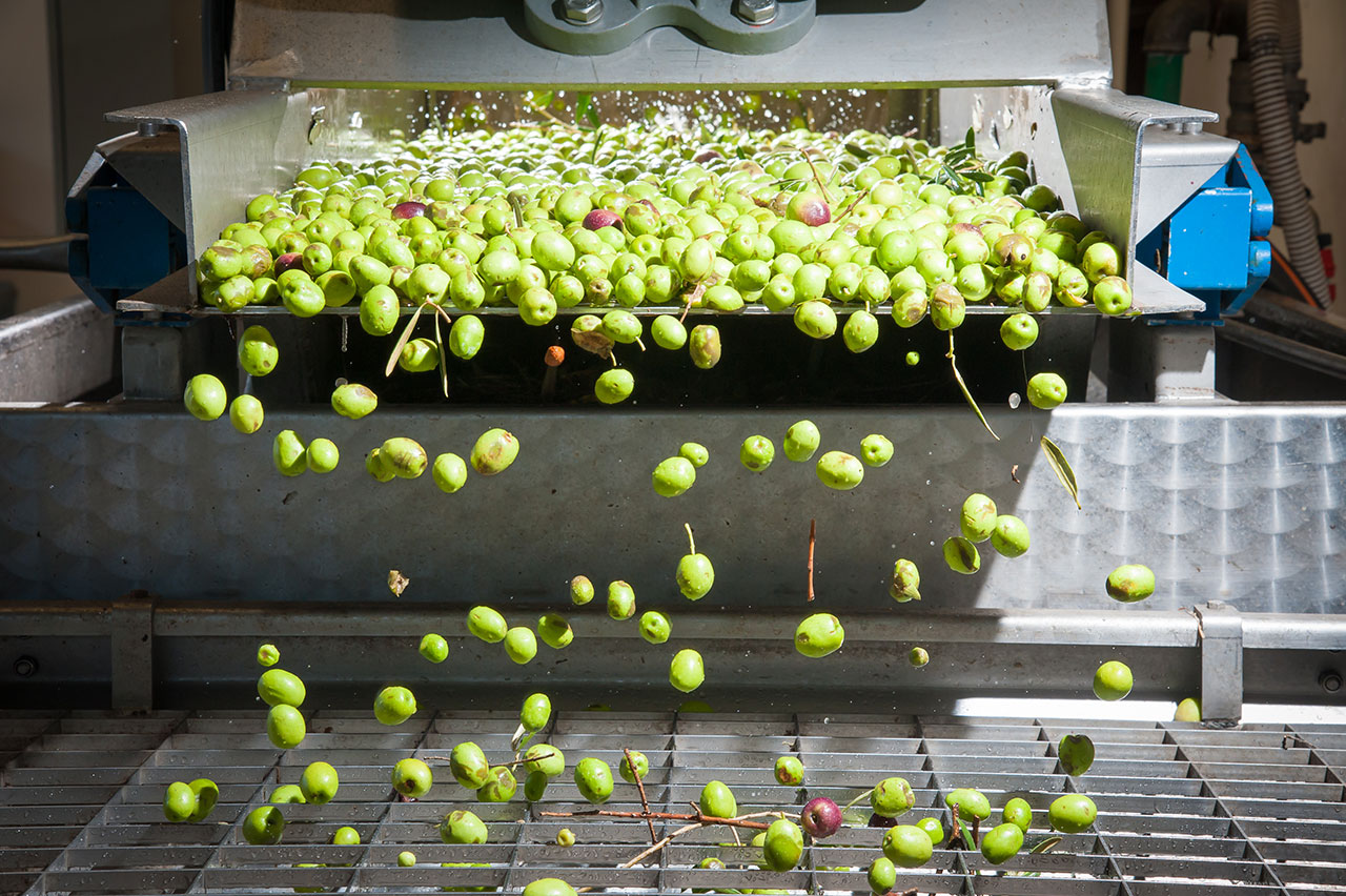 olive scaricate da un camion
